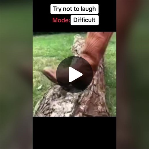 memehubofficialaccount (@memehubofficialaccount)’s video of trying not to laugh