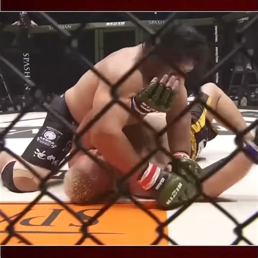 One Clean Shot… And The Cage Went Silent 💀💥 | Street Fight Europe