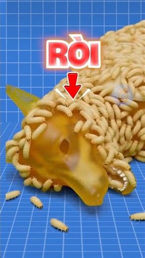 WHICH INSECT EATS THE FASTEST? | 😨 #fact #amazingfacts #animaltray