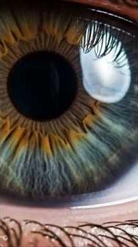 The Brain Chip That Reads Your Thoughts Is HERE (BISC Revealed) #brainchip #innovation