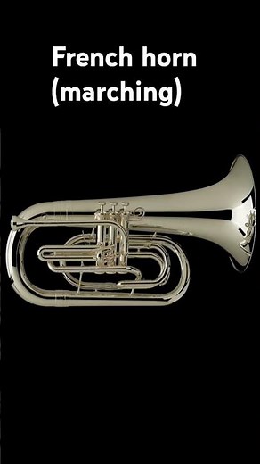 Best marching band instruments