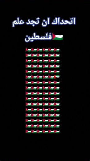 اتحداك ان تجد علم فلسطين
