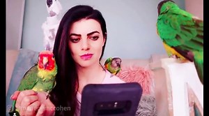 34K views · 665 reactions | I tried getting a family photo and it did NOT got well  SUBSCRIBE TO THE FEATHERED FUN BOX: featheredfunbox.com | Marlene Mc'Cohen | Facebook