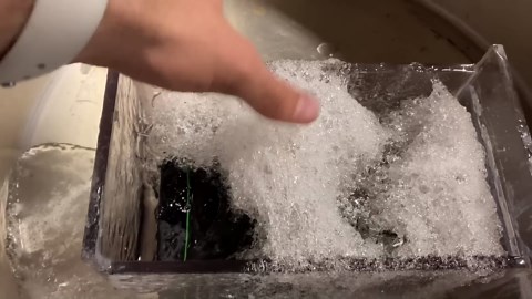 1996 Camera Lens Cast In Epoxy Resin And Cut In Half