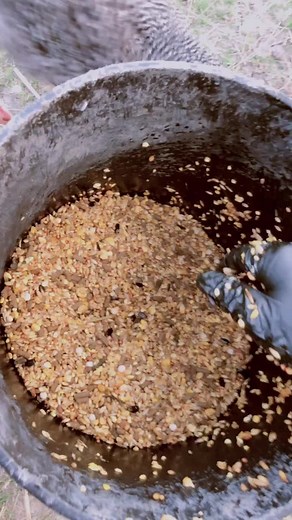 Gamefowl Maintenance Feeds and Red Cell for Optimal Rooster Care