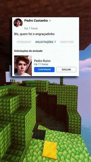 Esse é o MULTIVERSO dos PEDROS!?