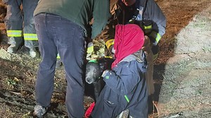 Technical rescue saves dog trapped in culvert in Adams County