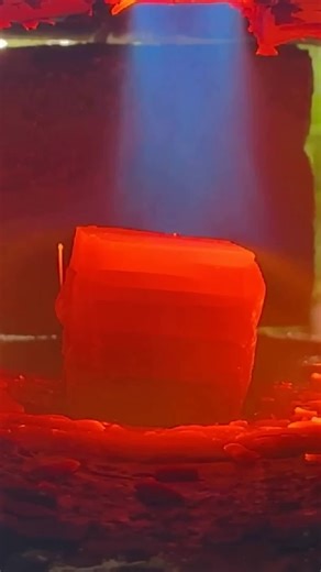 Handmade Knives: Crafting Unique Blades for Enthusiasts