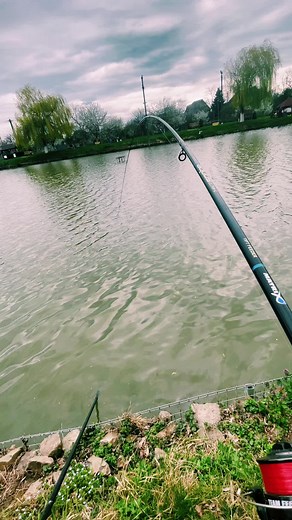 Puya Andrei pe TikTok