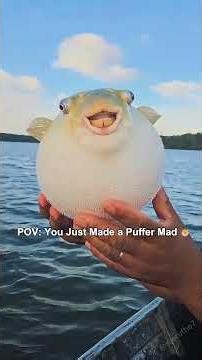 #fishing #funny #fyp