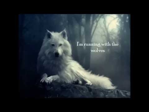 Aurora II Running with the wolves II Lyrics