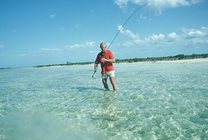 On Fly in the Salt: American Saltwater Fly Fishing from the Surf to the Flats - American Museum Of Fly Fishing