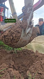 996K views · 5.8K reactions | Ever wonder how we get our trees out of...