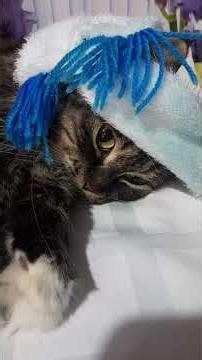 Только мама слезы утрет #жизнь #душадух #любовь #боль#ночь