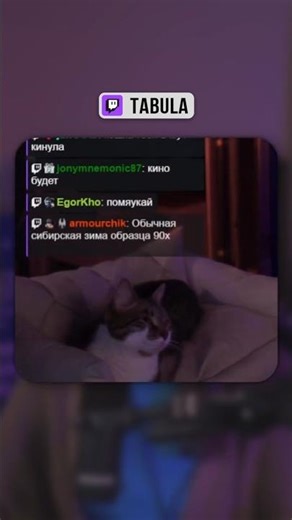 Shall we eat? | #tabula #twitch #twitch