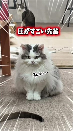 空気を読む新人たち。