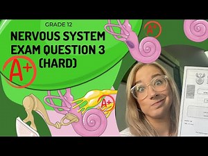 EAR| EXAM Q3 (HARD)Get an A+ on EXAMS