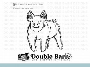 Show Pig Sketch Design Digital Download - SVG - PNG - Etsy