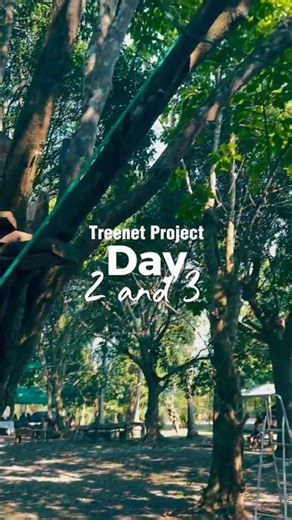 Building an EPIC Tree Net in the Canopy! (Days 2 & 3)