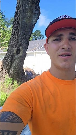 Watchout for Hackberry Trees! They are Dangerous 🚫