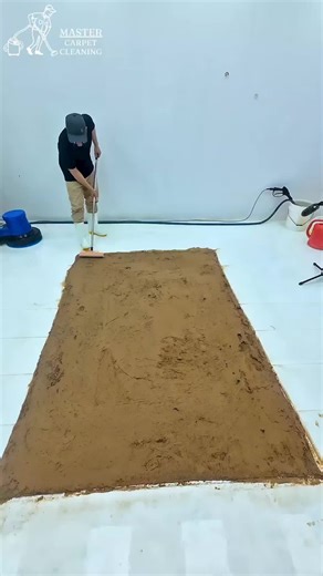 Expert Carpet Cleaning Techniques for a Fresh Home