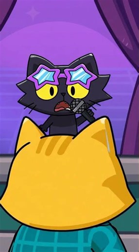 cat music beatbox gets grounded for annoying people in other houses