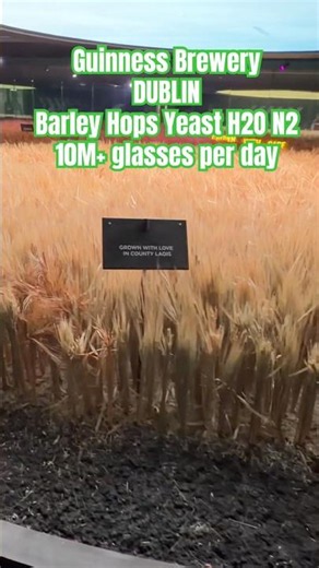 Guinness Brewery | Dublin | TASSTVMELBOURNE