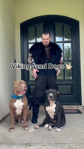 Viking Dog Names and Stories from the Iron Vikings MC Florida