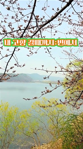 ~수원 광교저수지~ 내고향 갈 때까지 빈예서