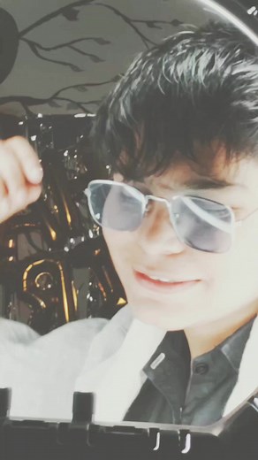 Understanding Sign Language Through Hand Gestures