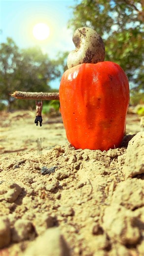 Big fruit 🍑 creative photography tips #edit #magic #nature #shorts