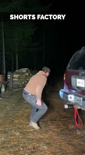 Cabin Repair Interrupted by Bears