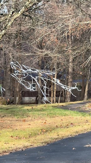 I don’t know my neighbors down there but they got TP last night. Lol | Kelly Hall