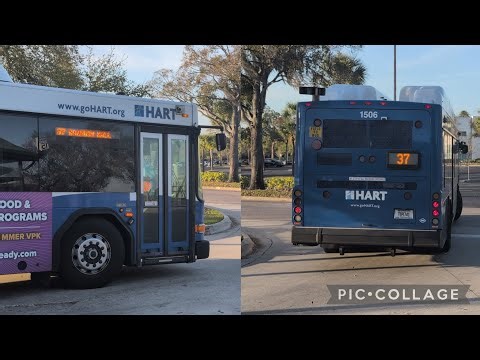 Hart bus #1506 on Route 37 arriving at Netpark Transfer Center