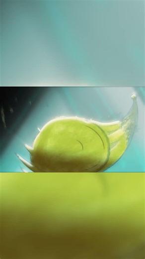 Spongebob Hides Evidence - 2D Animation Wip