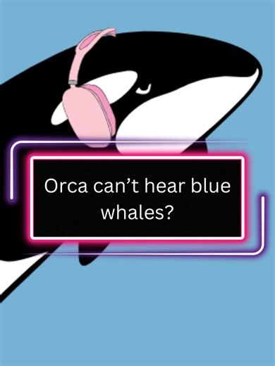 Understanding Blue Whales' Unique Communication Strategy