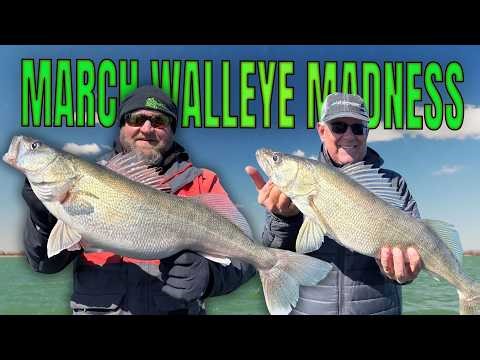 March Walleye Madness: Monroe, MI on Lake Erie | Fisherman's Digest