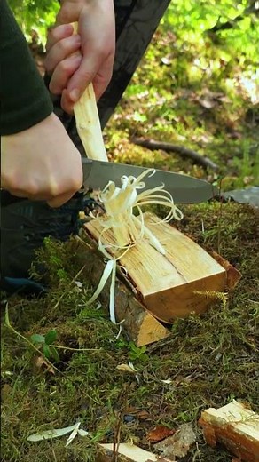 Knife Only Survival 🔪 Batoning Wood + Feathersticks 🔥 #bushcraft #survival #outdoors #camping