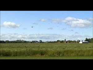 SR-71 Blackbird RealFlight 6 (Expansion Pack 7)