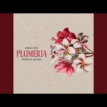 Plumeria