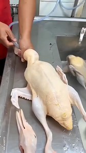 16K views · 193 reactions | Amezing facts about food and animals and...