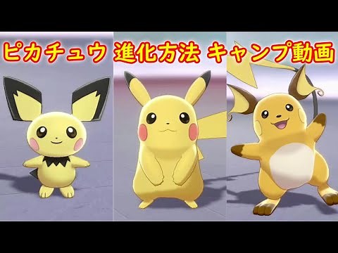 【ピチュー → ピカチュウ → ライチュウ】進化方法 攻略 + キャンプで遊ぶ【ポケモン ソード シールド ポケモン剣盾】
