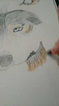pt.11 of realistic wolf drawing!! last on for today more tomorrow