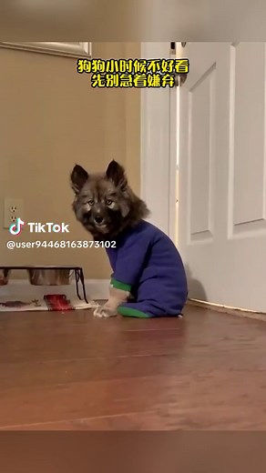 original sound - Erin Emerson이(가) 포함된 Erin Emerson (@user94468163873102) 님의 동영상