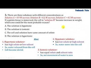Common Entrance Exam Questions and ANSWERS : የ12ኛ ክፍል ማትሪክ ፈታና ላይ የማይቀሩ ጥያቄዎችና መልሶቻቸው