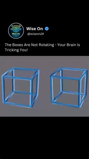 Wise On on Instagram: "Still images can look like they move because vision is predictive. The brain fuses input with expectations, compensates for ~100 ms processing delay, and motion-sensitive neurons (e.g., MT/V5) adapt/overload, creating illusory drift. High luminance/contrast edges, repetitive patterns, and temporal offsets (reverse-phi, wagon-wheel) amplify the effect. #illusion #brainfunction #neurons #science #reels"