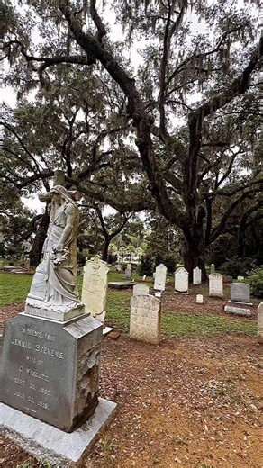 Moss, mystery and a touch of Southern magic. 🌿✨ There’s something hauntingly beautiful about a Southern cemetery in the fall. 🍂 From Charleston’s churchyards to Edisto’s Trinity Cemetery, these hallowed grounds hold the spirit (and stories) of the South. Take a quiet stroll this spooky season and you might just feel history come alive. 👻 #DiscoverSC | Discover South Carolina