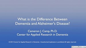 什么是伪码和算法？ - 杂 2026