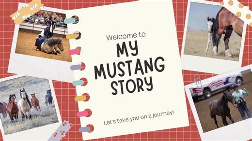 When did you start your first mustang? David Gillen shares his love for the horses…he bought back. | Mustang Heritage Foundation