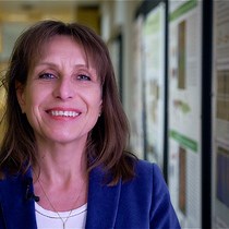 视频: 作者聚焦:用于研究成年斑马鱼尾柄骨骼肌再生的冷冻损伤模型